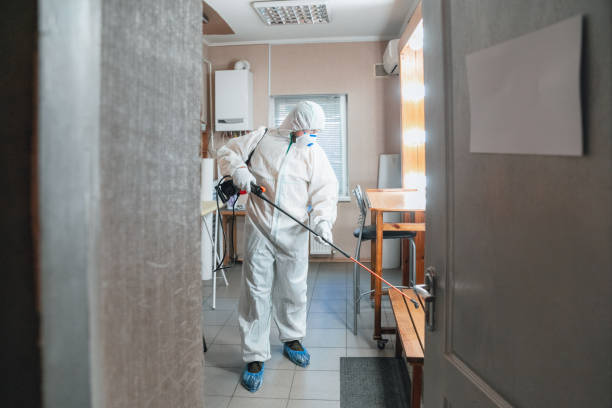 Best Dehumidification Services  in Loomis, CA