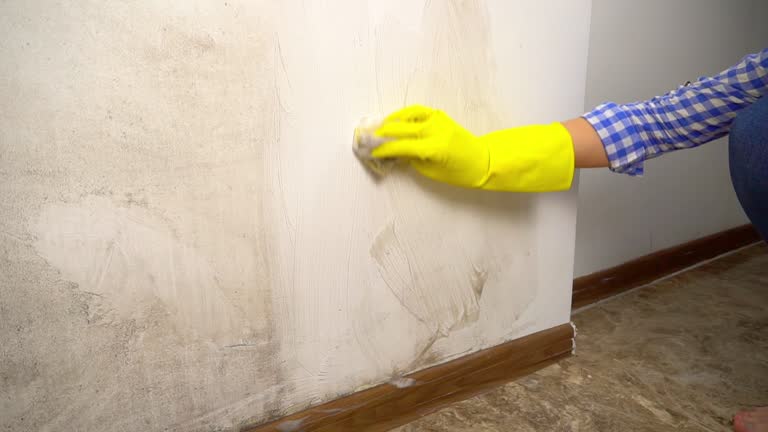Best Air Quality Testing for Mold Spores  in Loomis, CA
