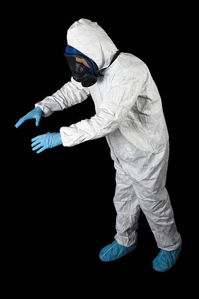  Loomis, CA Mold Removal Pros