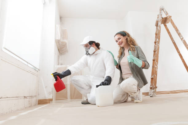 Best Mold Odor Removal Services  in Loomis, CA